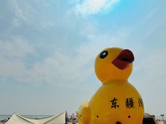 -天津东疆湾沙滩景区