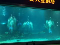 -福州罗源湾海洋世界旅游区