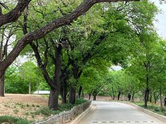 -北京西山国家森林公园