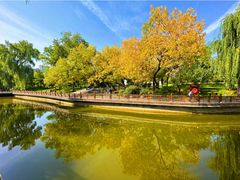 -森林公园(尖草坪区)