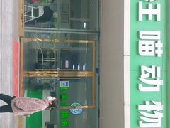 -汪喵宠物医院·骨科心脏影像·犬猫急重症ICU诊疗中心(成华分院)