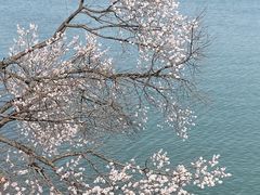 -颐和园