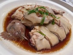 -山东老家(科韵分店)