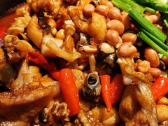 -蛙小侠(古镇大信新都汇店)