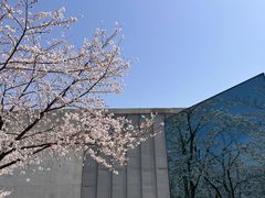 -龙美术馆(西岸馆)