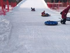 -沈阳奥体冰雪嘉年华