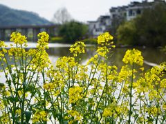 -新安江山水画廊风景区