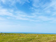 -青海湖国家重点风景名胜区
