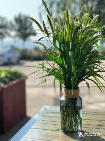 突然觉得和绿色毛毛狗特别配