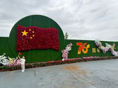 -荷兰花海
