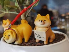 -Onirii Coffee(长乐路店)