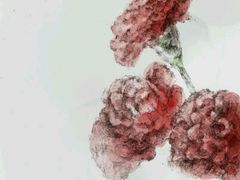 -广东茂名森林公园