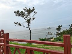 -养马岛旅游度假区