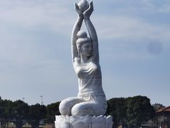 -荷塘月色湿地公园·向阳花洲