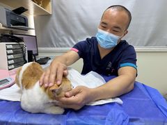 -美联众合动物医院·24h京西诊疗中心