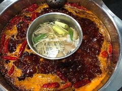火锅底-大龙火锅(老店)