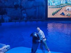 -芜湖新华联大白鲸海洋公园