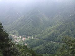 聚龙大酒店-九华山聚龙大酒店