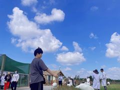 -盐城丹顶鹤湿地生态旅游区