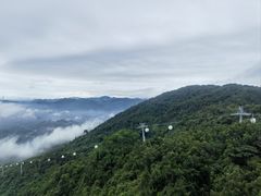 -呀诺达热带雨林