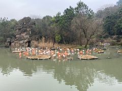 -宁波野生动物园