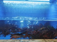 -香山湖渔家大院