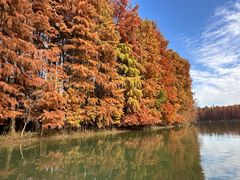 -上海海湾国家森林公园