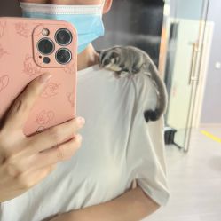 -乐舞者舞蹈培训机构