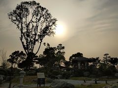 -东莞植物园