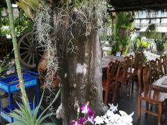 -自然餐厅(Phuket)