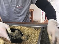 -叶氏麻糍(鼓浪屿店)