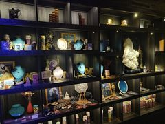 -雪灵魔法世界SHELLY’S TAROT(大良桂畔里店)