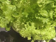 -韩宫宴和牛烤肉(合肥滨湖银泰城店)