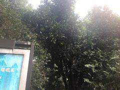 -衣裳街历史文化街区