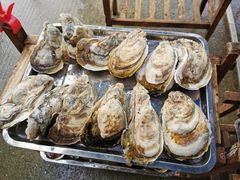 -蚝专家(北滘店)