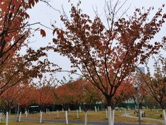 -安徽广播电视台