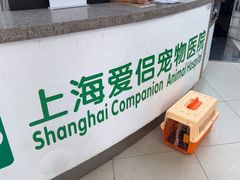 -爱侣宠医·鹦鹉专科·小型哺乳类·异宠专科(灵石路店)