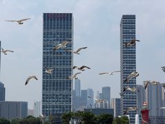 -东港音乐喷泉广场