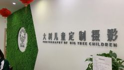 -大树儿童摄影