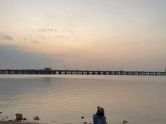 -宝安西湾红树林湿地公园