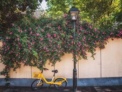 -颐和路民国时期公馆-风貌区