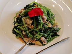 -海派美食·家宴海鲜青岛菜·石锅鲽鱼头(东方城店)