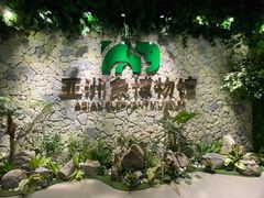 -野象谷景区
