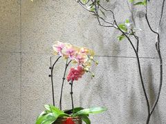 -王府茶楼茶宴·创意菜(大观园总店)