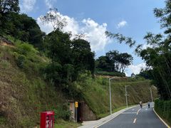 -黄埔油麻山森林公园