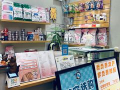 -飞行喵MR PILOT|猫舍·猫咖(静安大融城店)