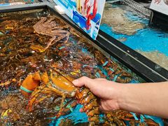 -盒马鲜生(皇庭广场店)