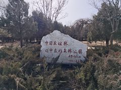 -绿堤公园