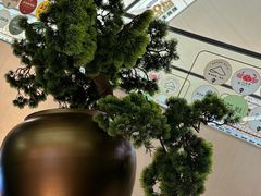 -新白鹿餐厅(金鹰新街口店)