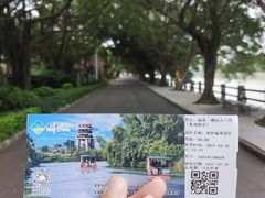 -大湾区中央湿地公园
